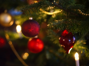 Новогодишњи програм