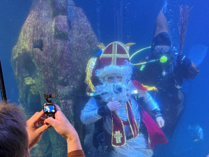 Деда мраз међу рибама у акваријуму – дели поклоне 