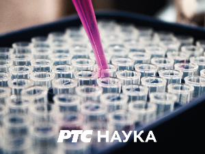 Нулта тачка	Ајурведа, 2. део