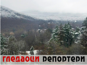 Гледаоци репортери (9. децембар 2023.)