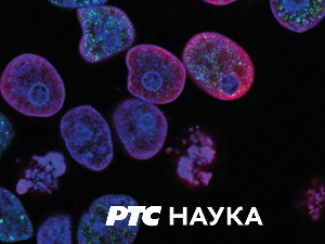 Ловац на знање: Подсвест