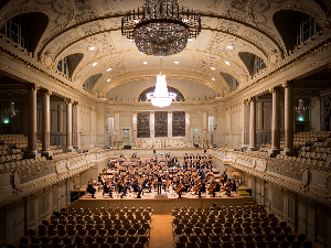 Кон анима: Радмила Смиљанић - 2. део