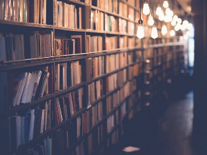 Михаел Антоловић: Спајање неспојивог – предузетнички универзитет и друштвене науке (2)