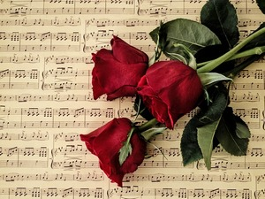 Жене у музици – Дорин Карвитен