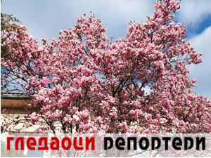 Гледаоци репортери (14. март 2023.)
