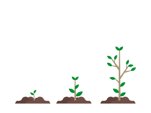  Јутарњи разговори: Животиње у пубертету 