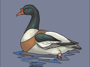  Добро јутро децо: Патка и оса 