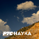 Скривени свет пчела