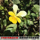 Гледаоци репортери (15. март 2023.)