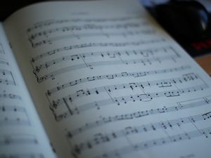 Антологија српске музике – Николa Петин