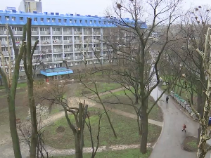 "Овде не гледају одакле си, него ко си" – како студенти из иностранства виде живот у Србији