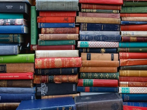 Мајкл Вилкинсон: Између слободе и закона (1)