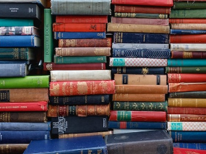 Мајкл Вилкинсон: Између слободе и закона (4)