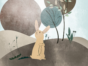  Приче из зоо врта: Кенгур 