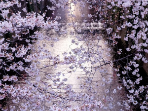 Имагинарни пејзажи