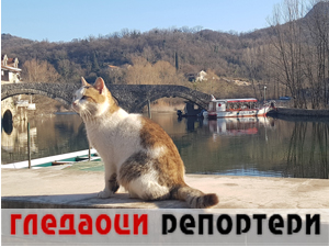 Гледаоци репортери (22 март 2023.)