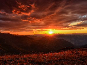 Ритам раног јутра