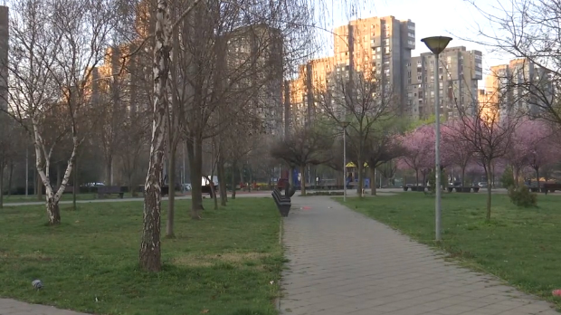 Масовна туча на Новом Београду, више повређених Масовна туча на Новом Београду, више повређених