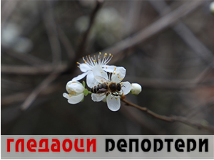Гледаоци репортери (26. март 2023.) Гледаоци репортери (26. март 2023.)