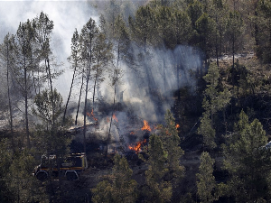 Шумски пожар на истоку Шпаније, евакуисано више од 1.500 становника