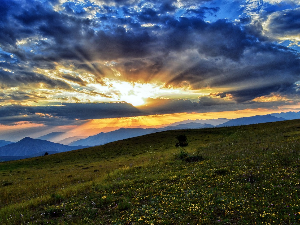 Ритам раног јутра