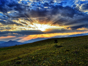 Ритам раног јутра
