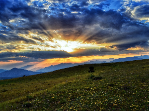 Ритам раног јутра