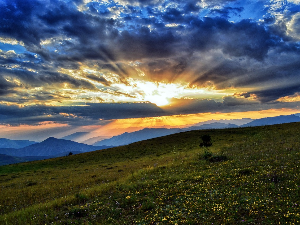 Ритам раног јутра