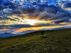 Ритам раног јутра