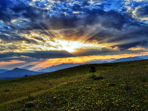Ритам раног јутра