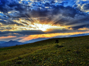 Ритам раног јутра