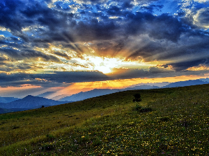 Ритам раног јутра