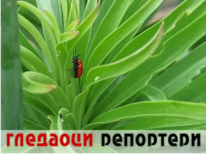 Гледаоци репортери (29. март 2023.)