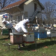 Шире се пчелињаци у Јабланичком округу, пролећни дани најављују медоносну годину