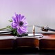 Жене у музици – Естер Абрами