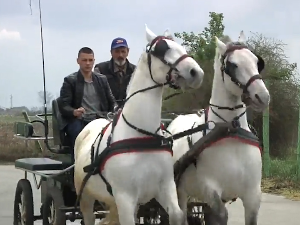 Бат коња чуће се далеко - у Црепаји последње припреме за Фијакеријаду