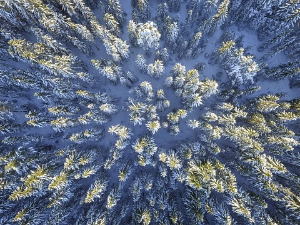 Имагинарни пејзажи