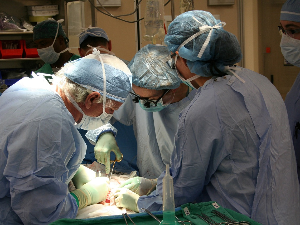 Органима убијене жене у Израелу спасено пет живота