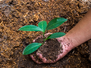  Зелена транзиција: Колико је српска привреда циркуларна?