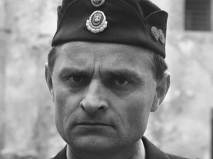 Црне птице