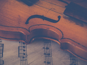 Јанин Јансен