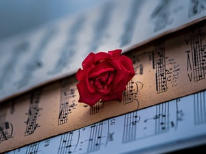 Жене у музици – Софи Јункер