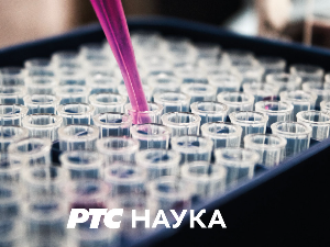 Археокухиња: Римска свадбена трпеза