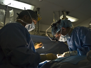 Грујичић: Спреман нови Закон о трансплантацији органа