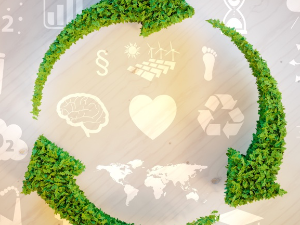 Како финансирати зелену транзицију и ускладити тржиште рада са принципима циркуларне економије?