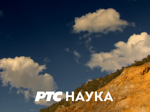 Филозофија и…: Тишина доколице