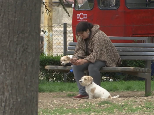 Порез на псе или солидарни допринос – власници су свакако против додатног удара на џеп
