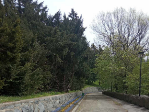 Опрез приликом припреме хране и ложења ватре на излетиштима, шта је забрањено