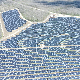 У Лапову отворена највећа соларна електрана у Србији