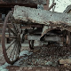 Канадске фото илузије…